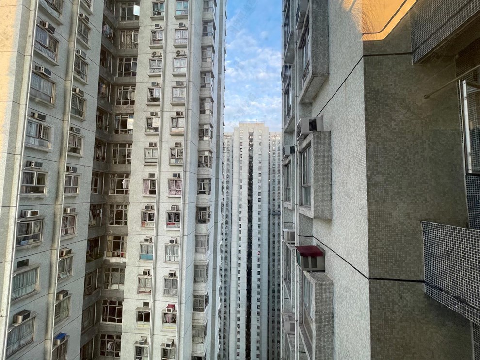 窗外景观-由客厅