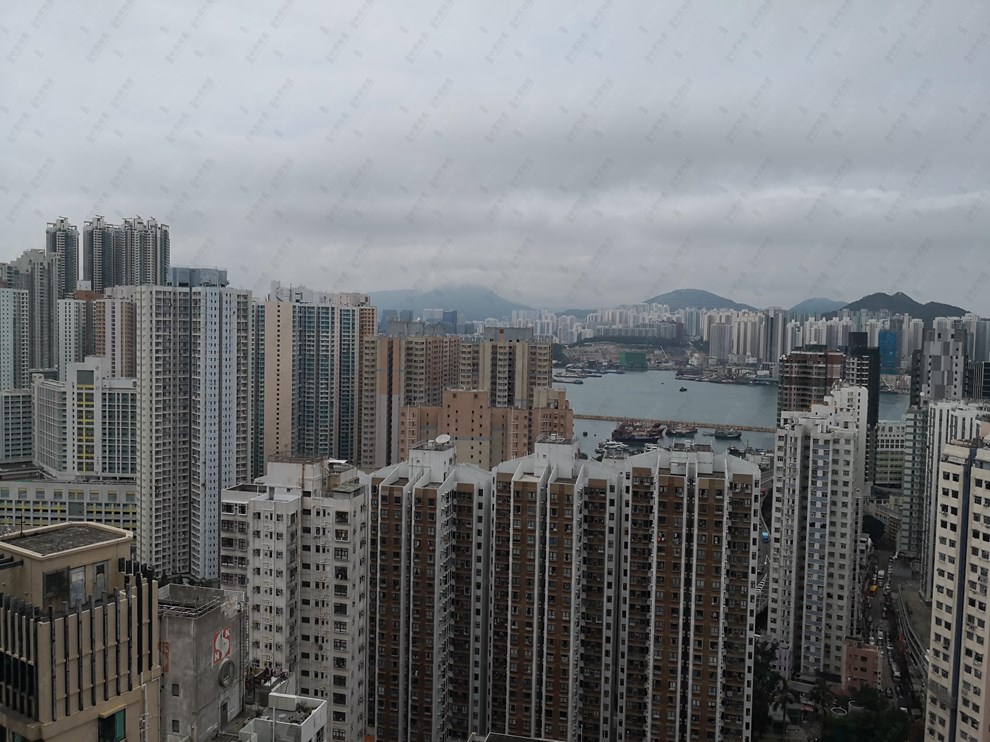 窗外景觀-開揚