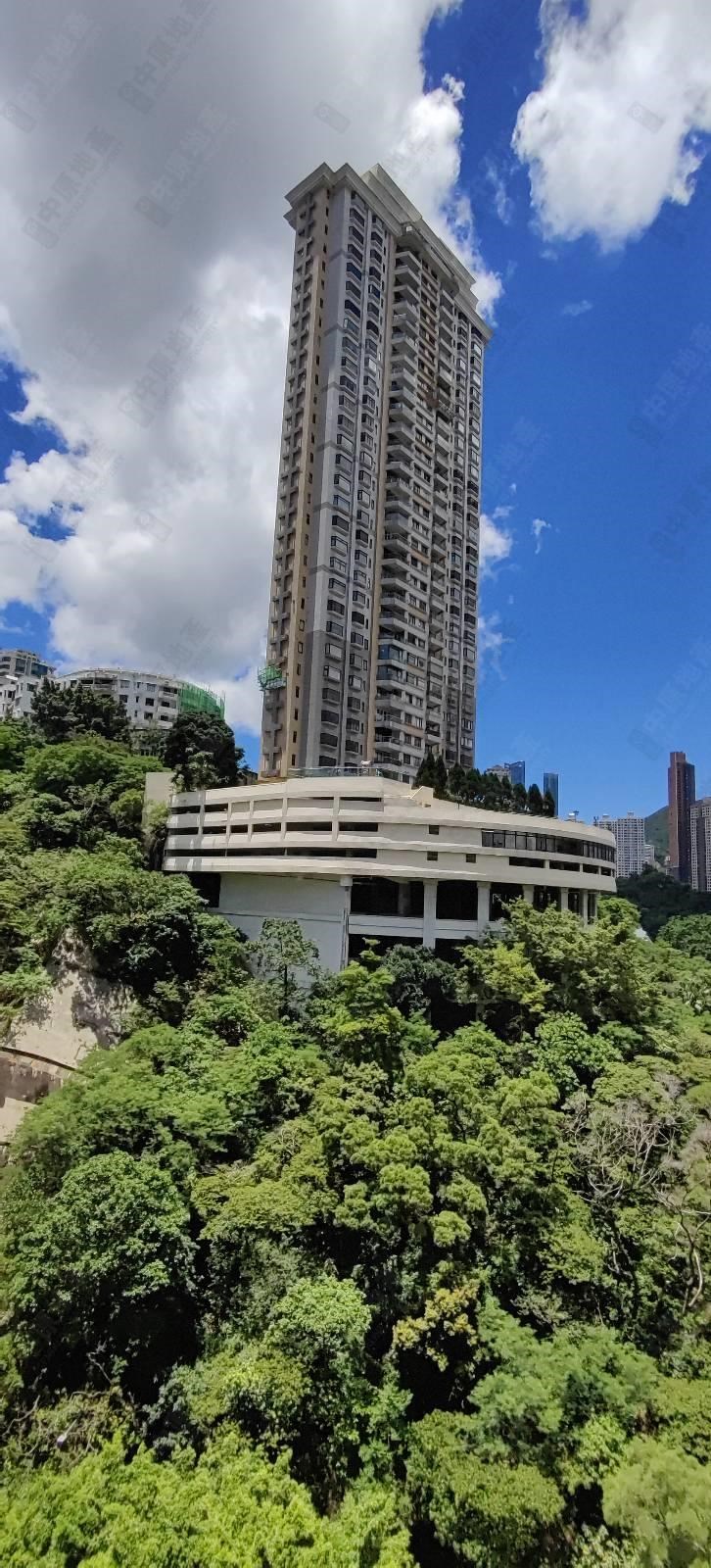 窗外景觀-由客廳
