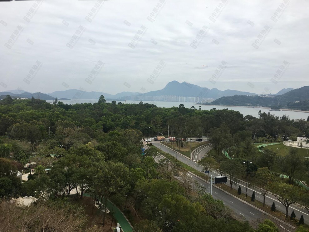 窗外景觀-由客廳