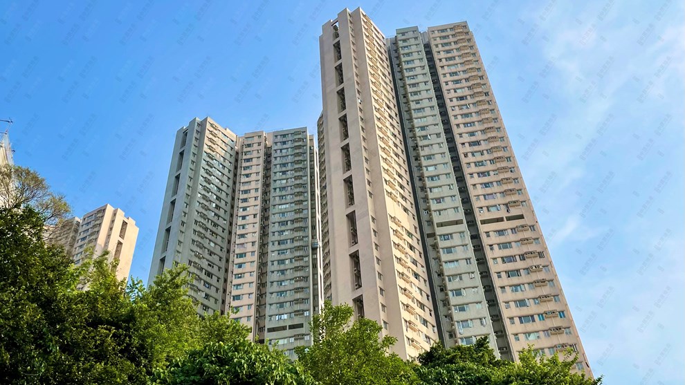 Estate-Outlook