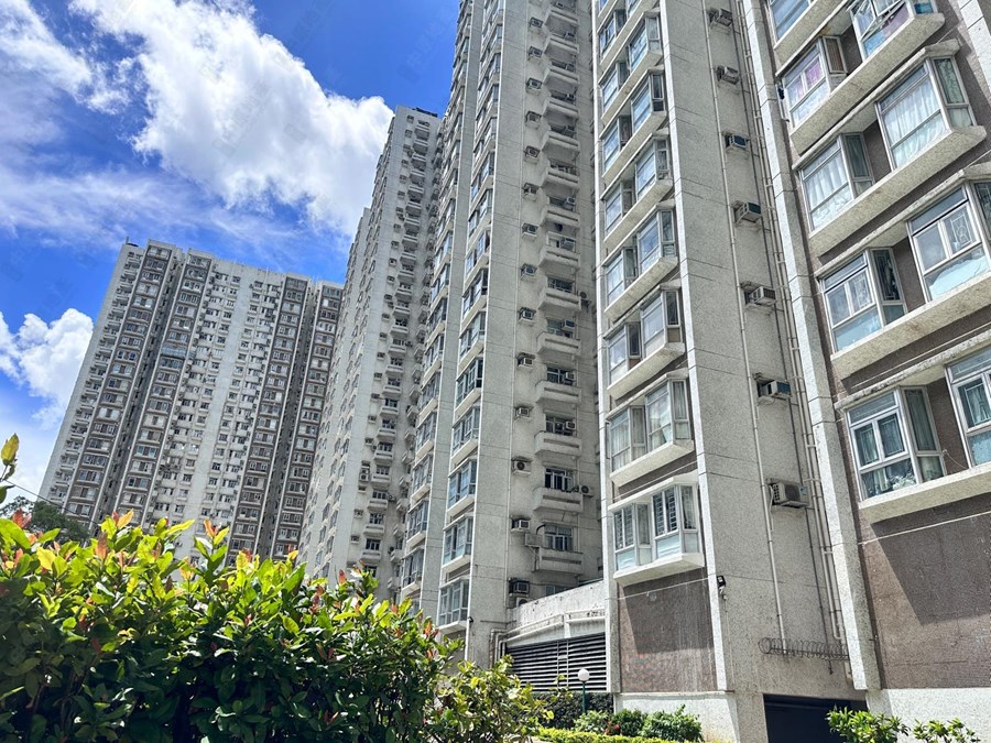 沙田中心 佳寧大廈 (C座), 相片