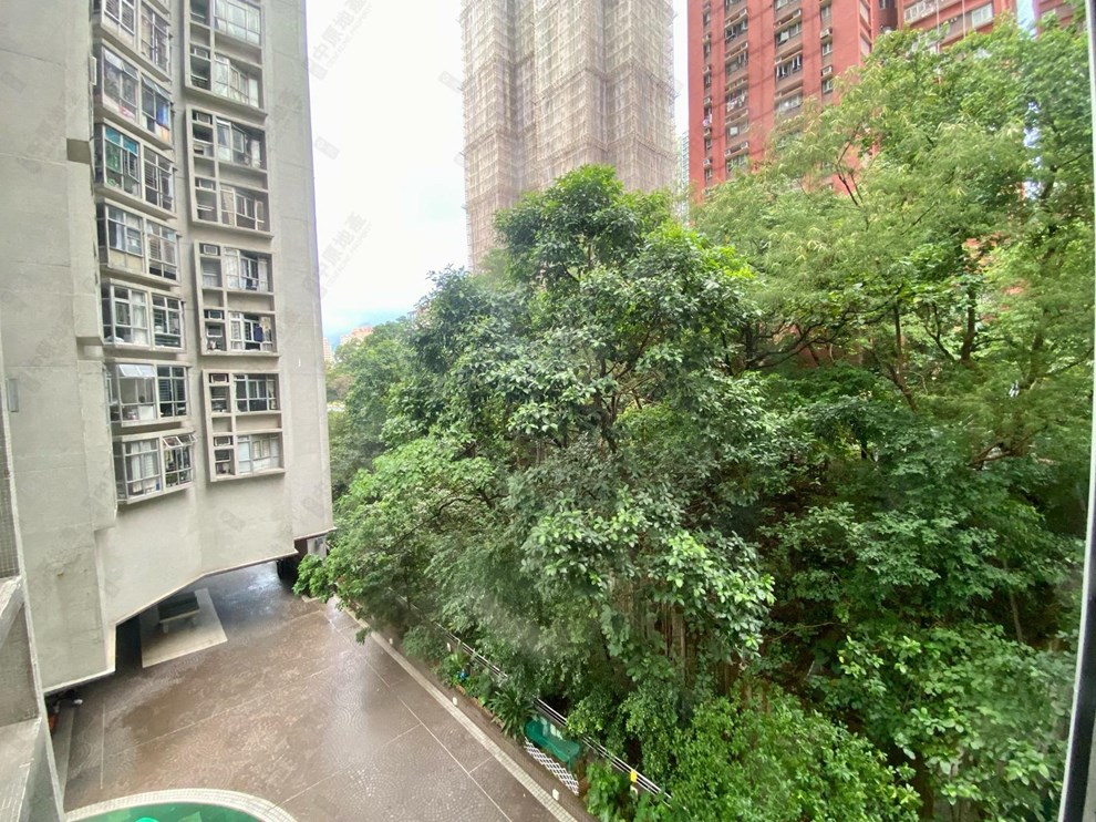 窗外景观-由客厅