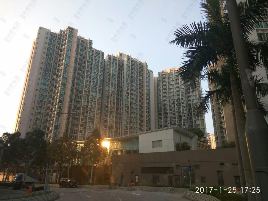 天宇海 3B座, 相片