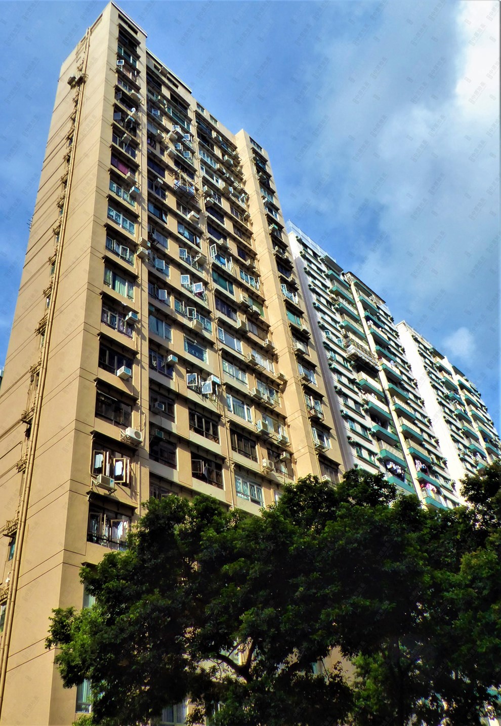 Building-Outlook