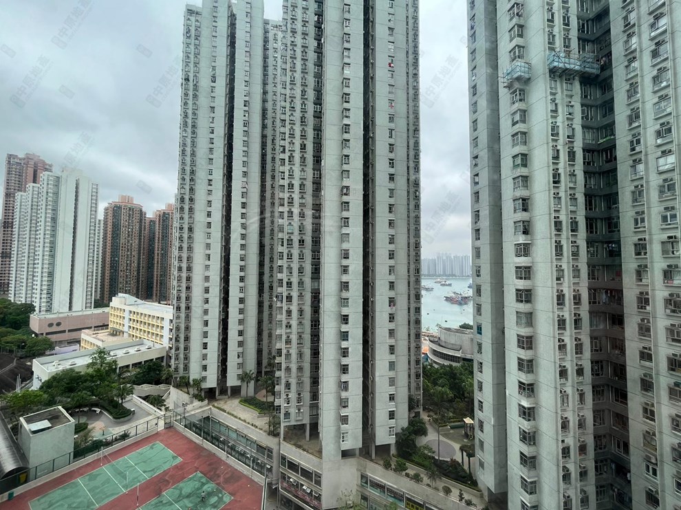 窗外景观-由客厅