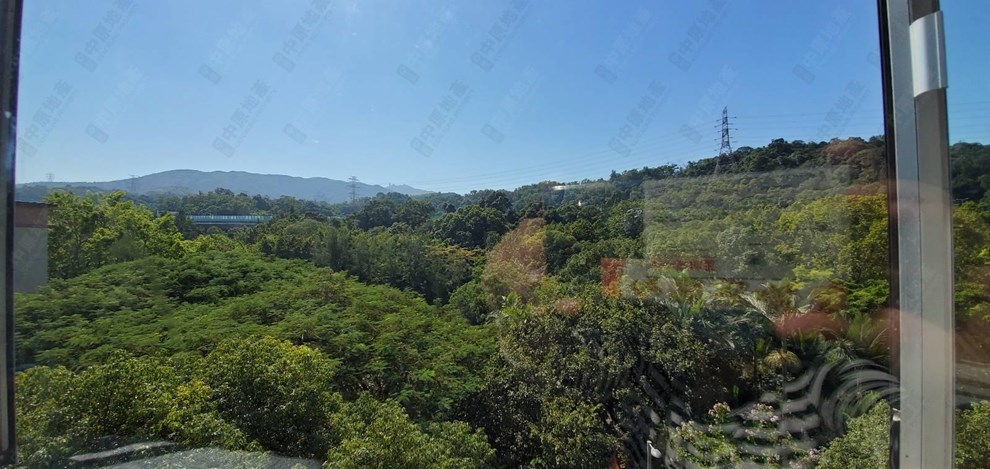 Outside View-From Living Room