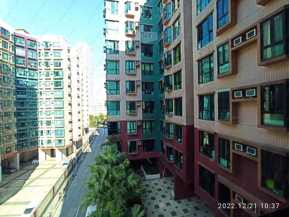 窗外景觀-由客廳
