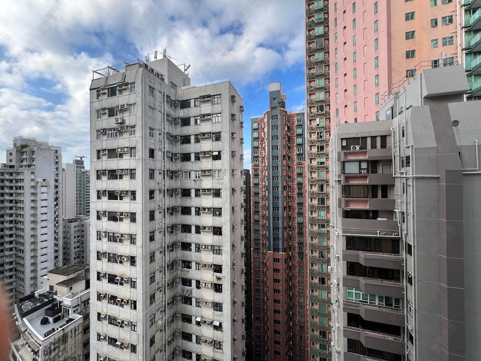 窗外景观-由客厅