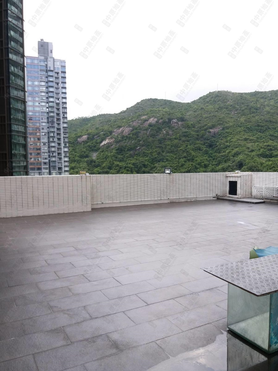 龙园, 相片