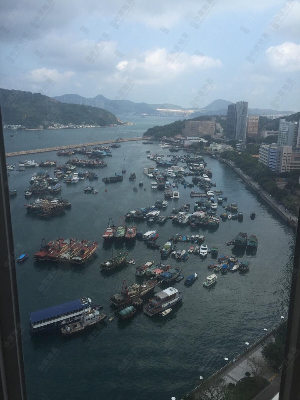 窗外景观-由客厅