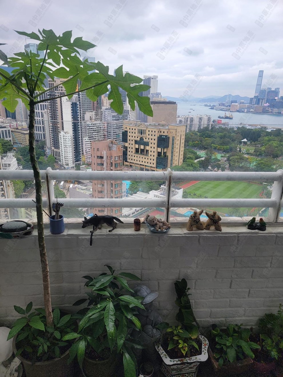Outside View-From Living Room