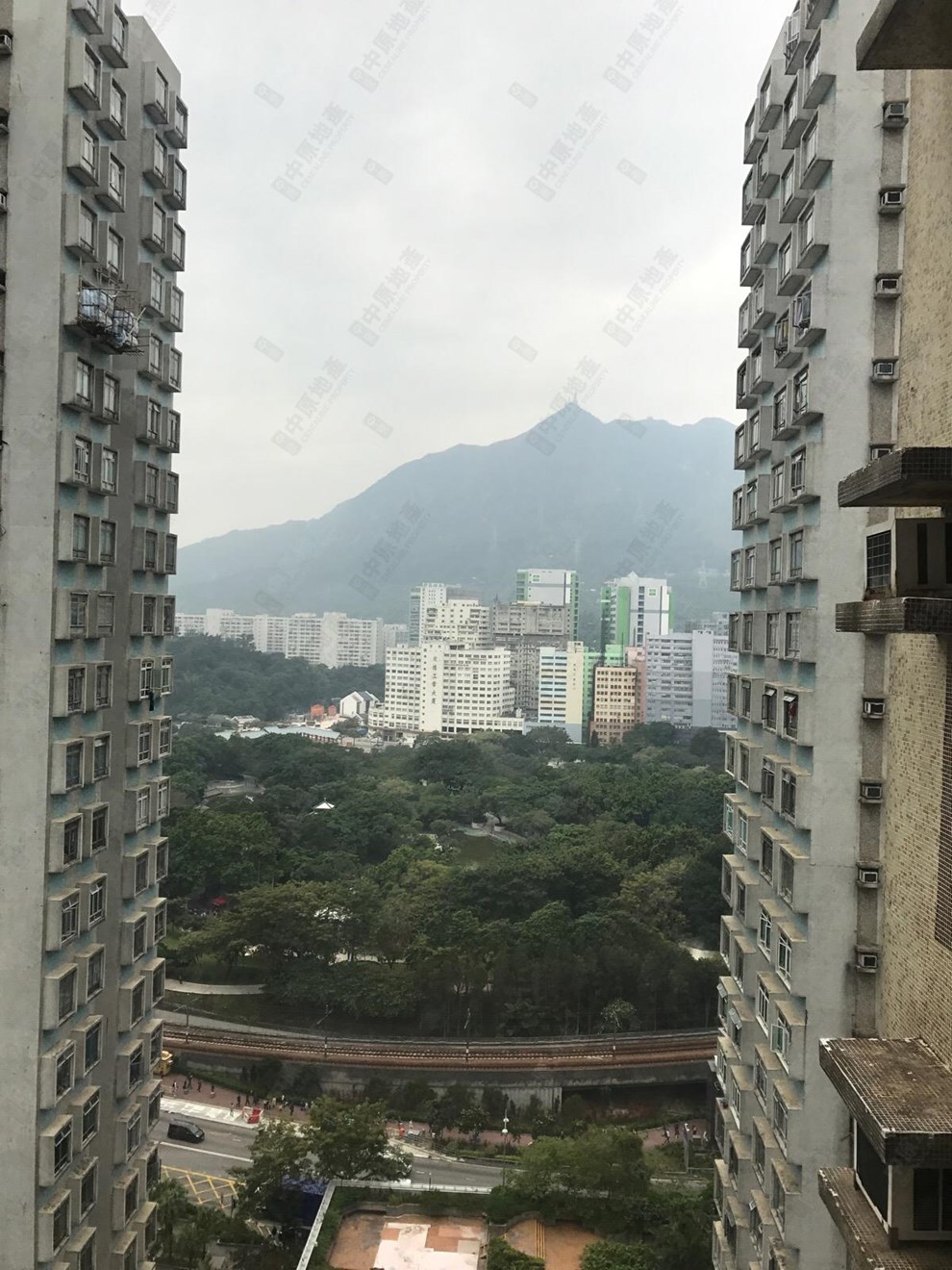 窗外景观-由客厅