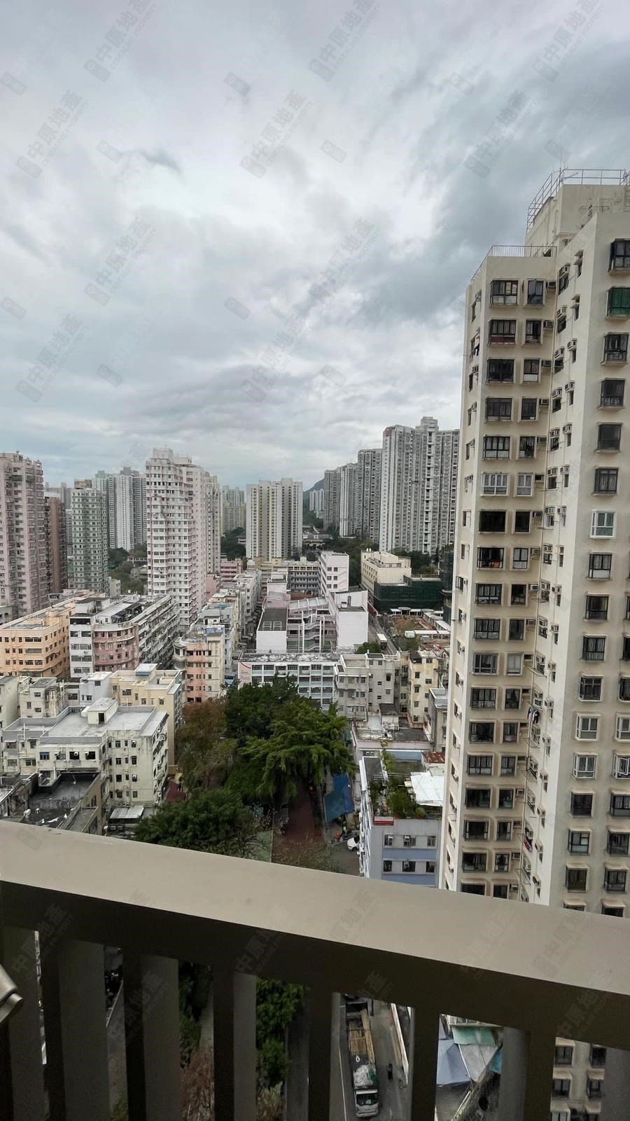鑽嶺, 相片