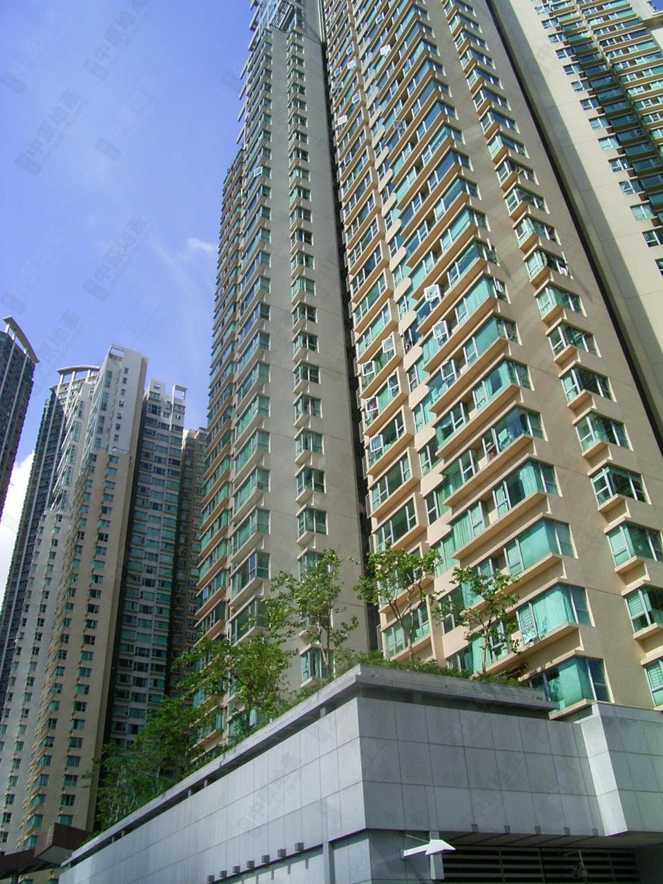 大廈-外觀
