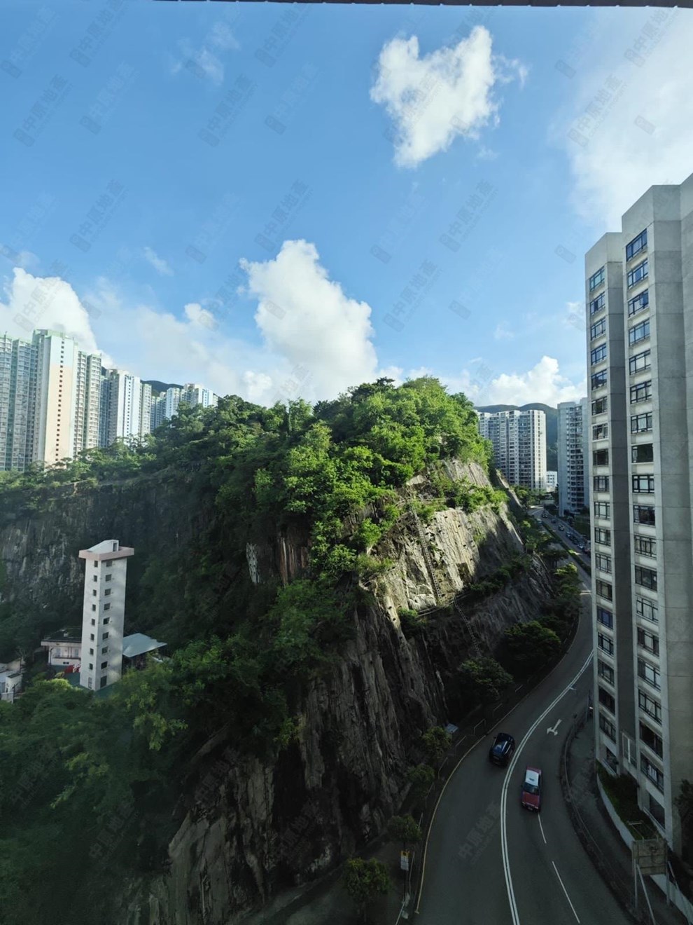 窗外景觀-由客廳