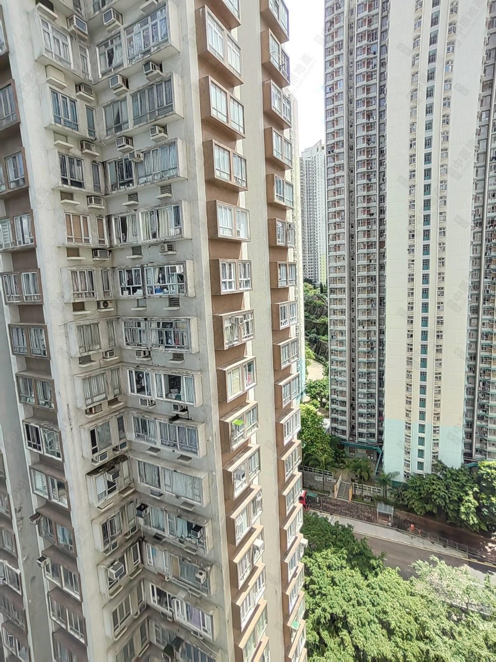 窗外景观-由客厅