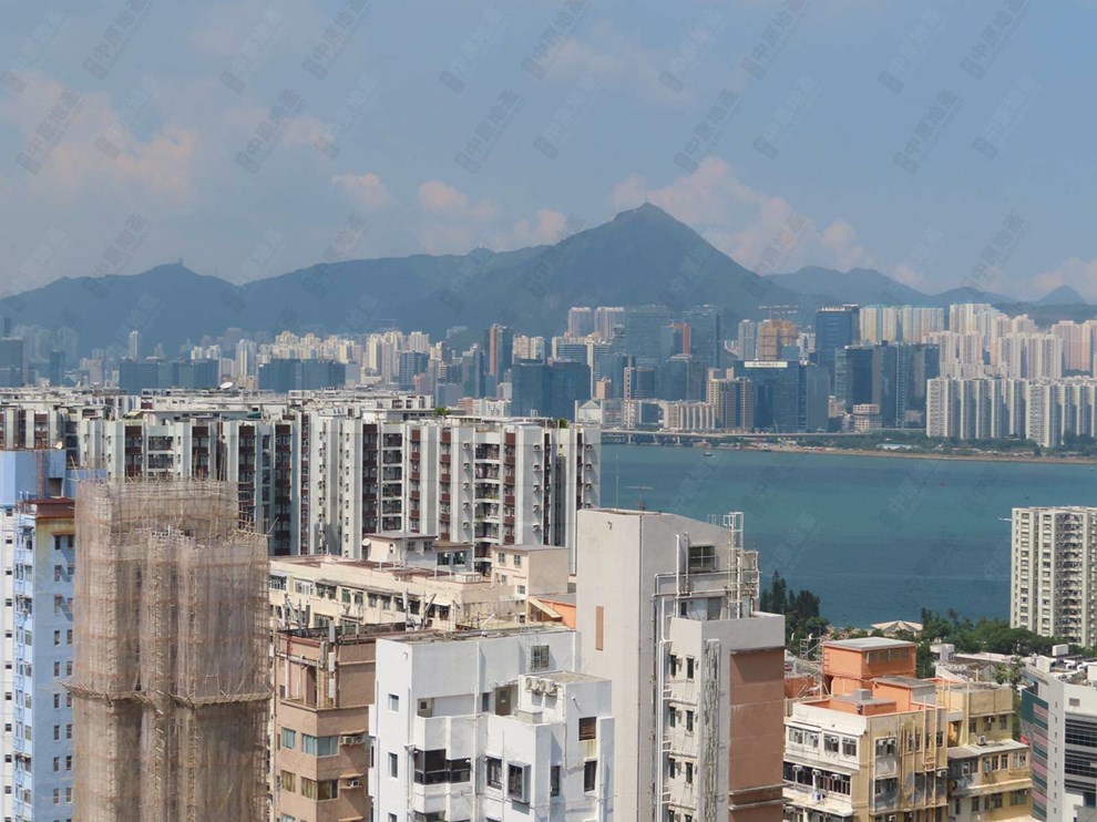 窗外景观-由客厅