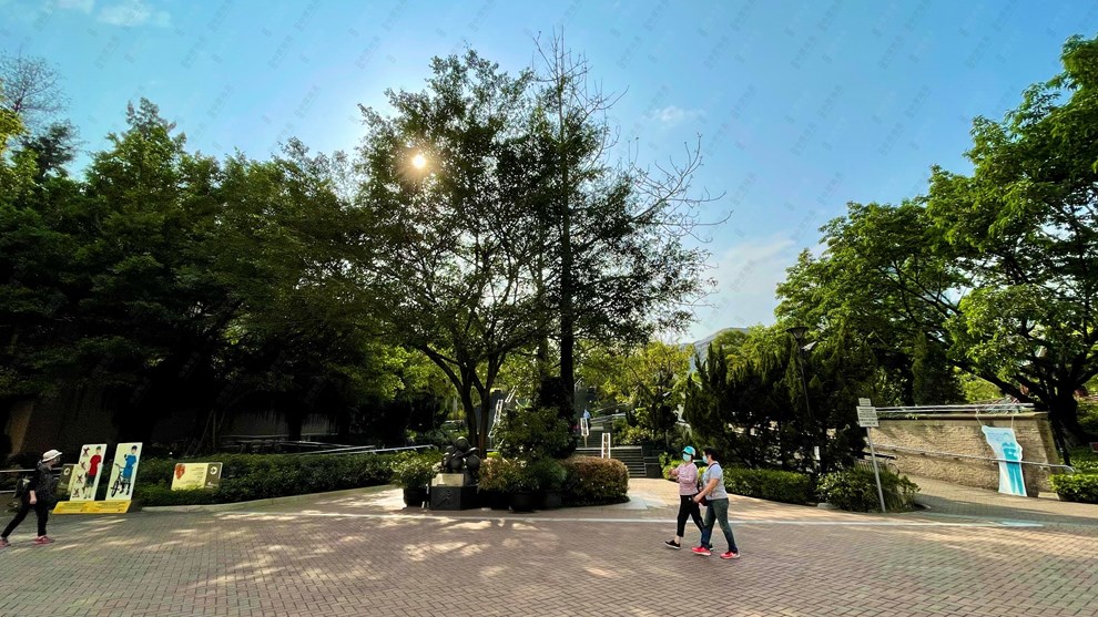 附近环境-公园