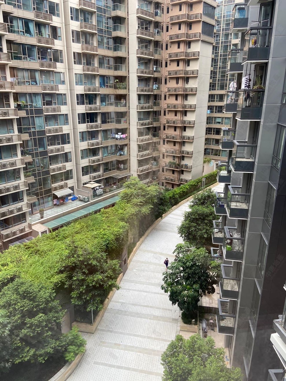 窗外景觀-由客廳