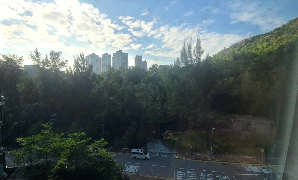 Outside View-From Living Room