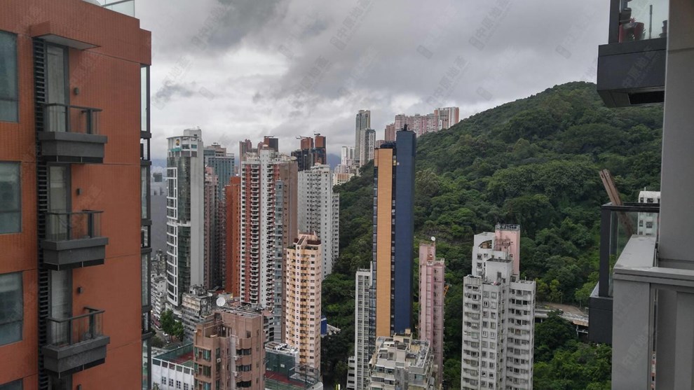 窗外景觀-由客廳