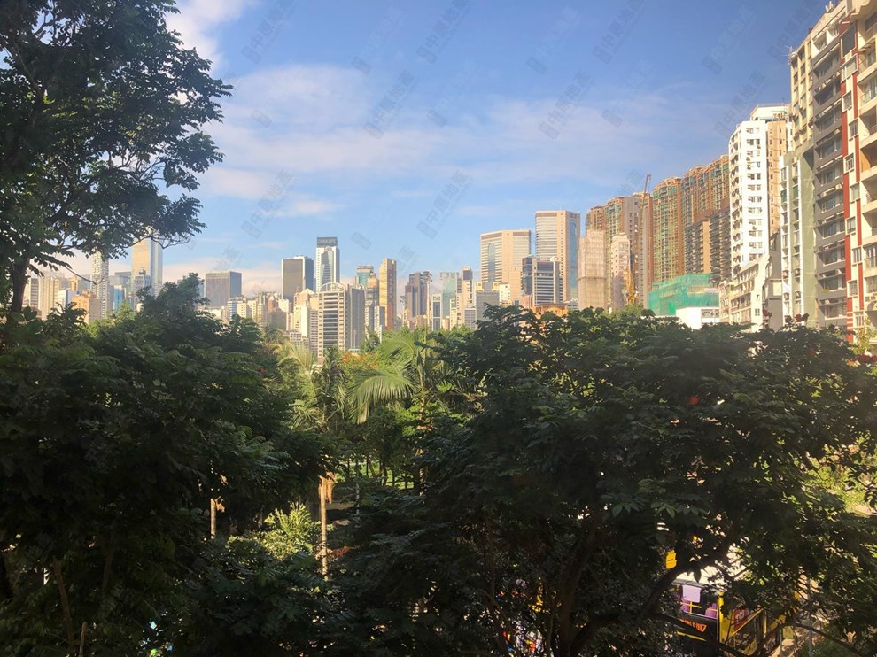 窗外景觀-由睡房