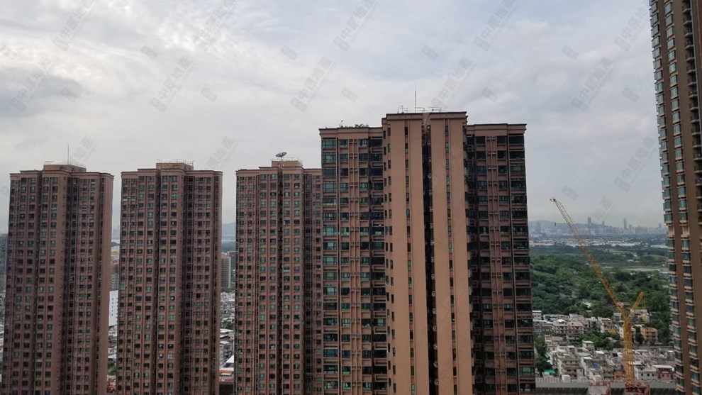 窗外景觀-由客廳
