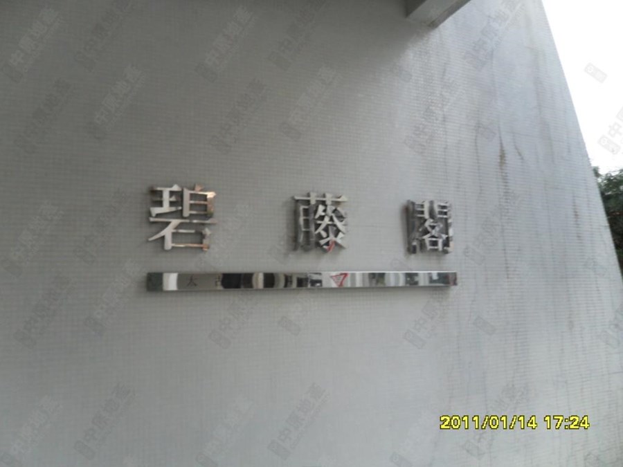太古城 海景花园(东) 碧藤阁 (42座), 相片