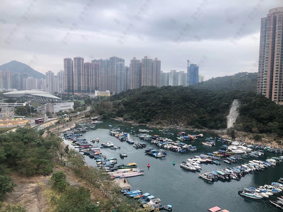 窗外景觀-由露台