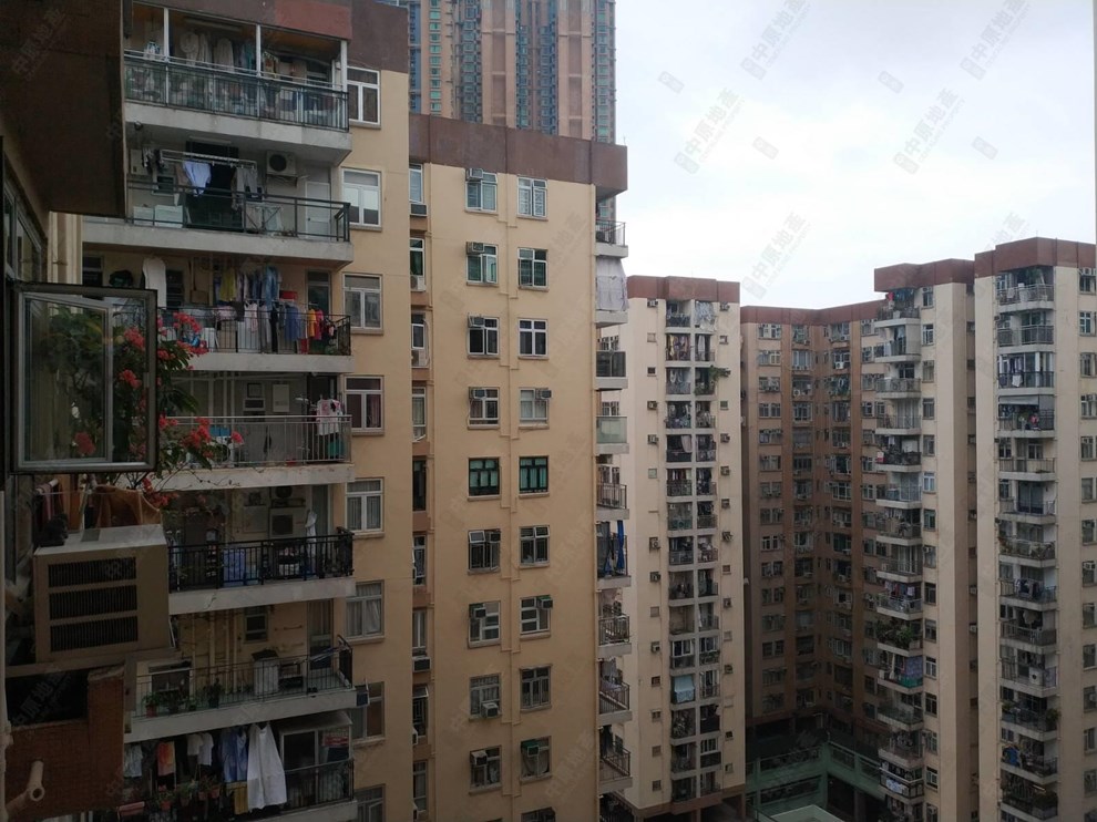 窗外景观-由客厅