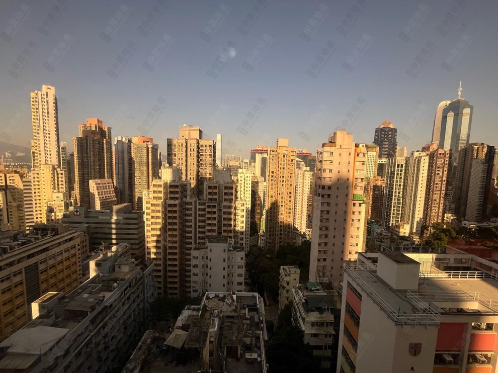 窗外景观-由主人房