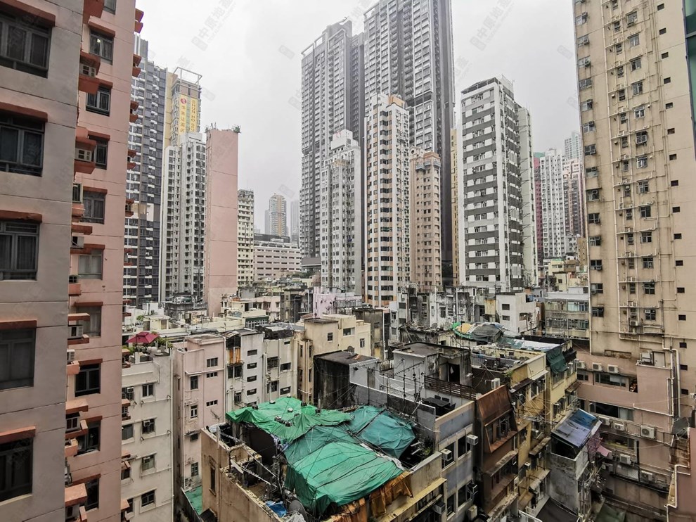 窗外景觀-由露台