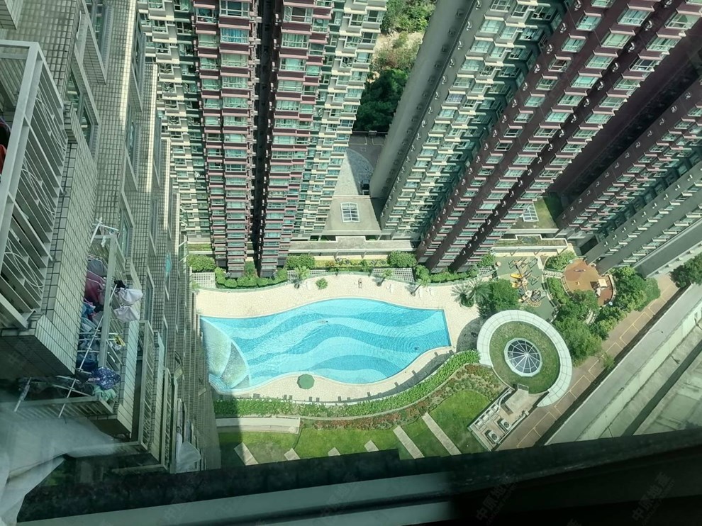 窗外景观-池景