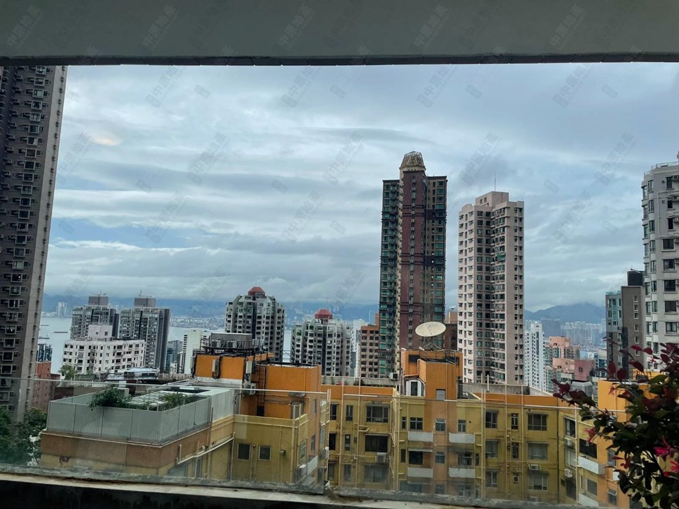 Outside View-From Dining Room