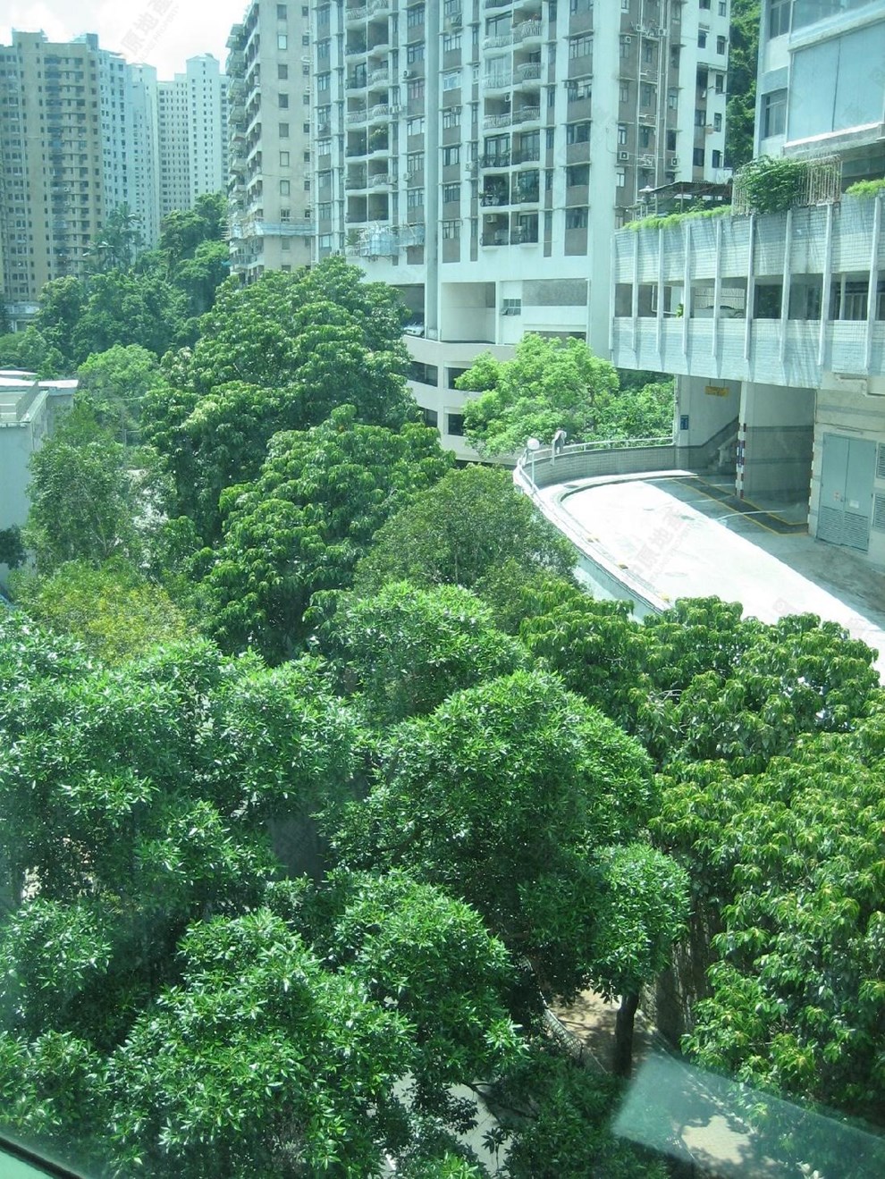 窗外景觀-開揚