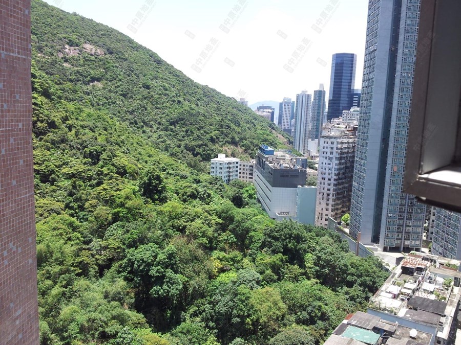 康景花园 D座, 相片