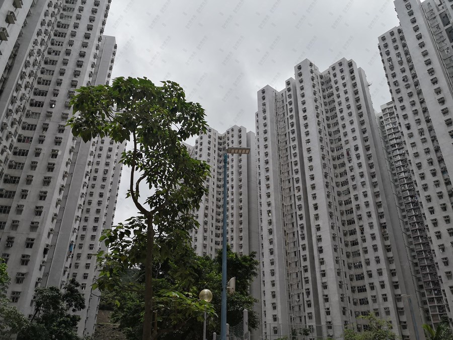 FULLVIEW GARDEN・BLOCK 11, Photo