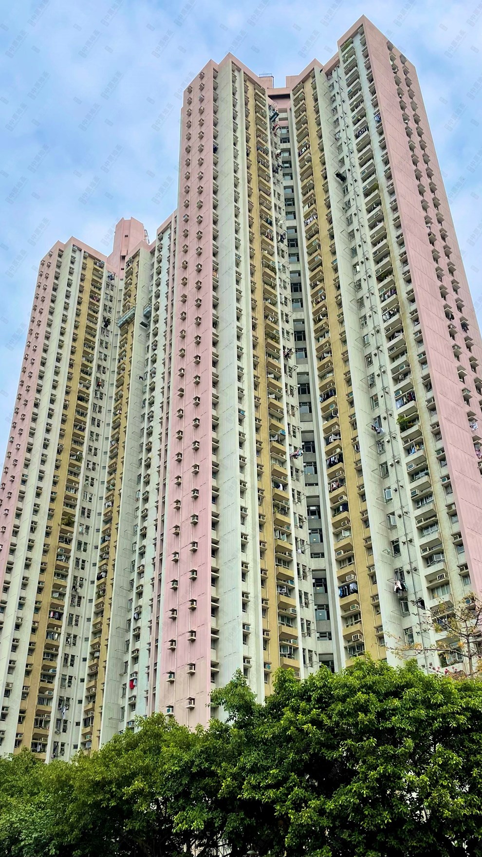 大廈-外觀