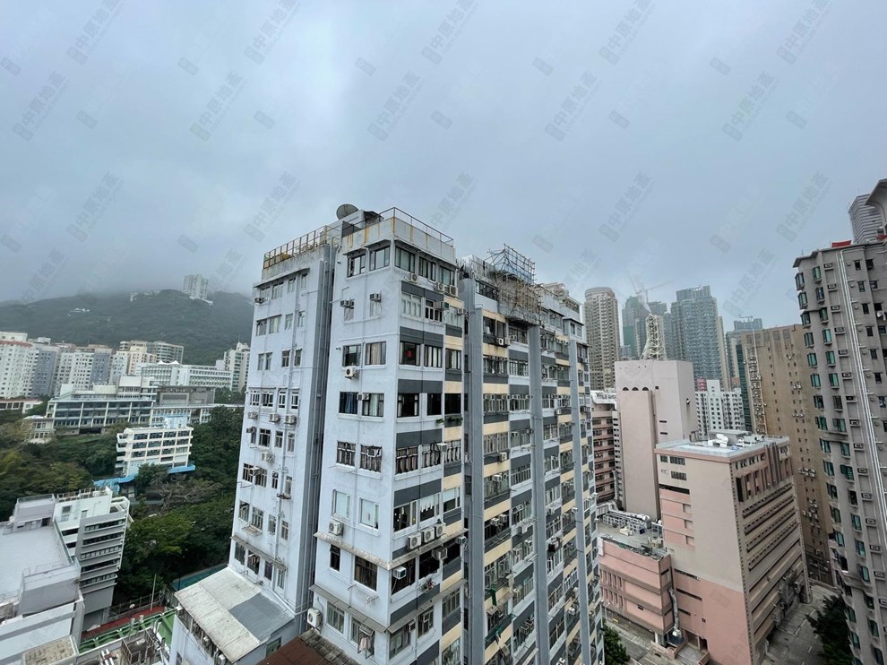 窗外景觀-由露台