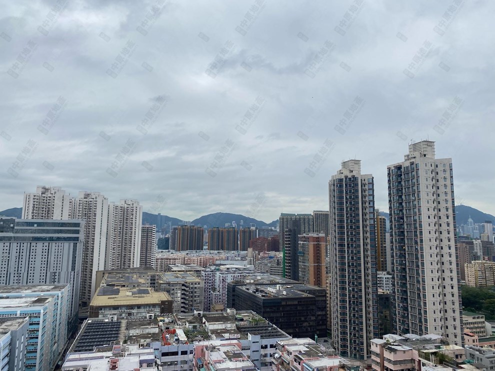 窗外景觀-由露台
