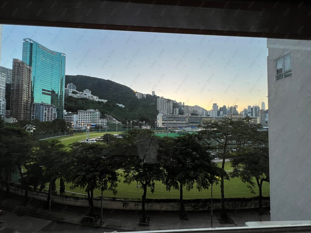 窗外景观-由客厅