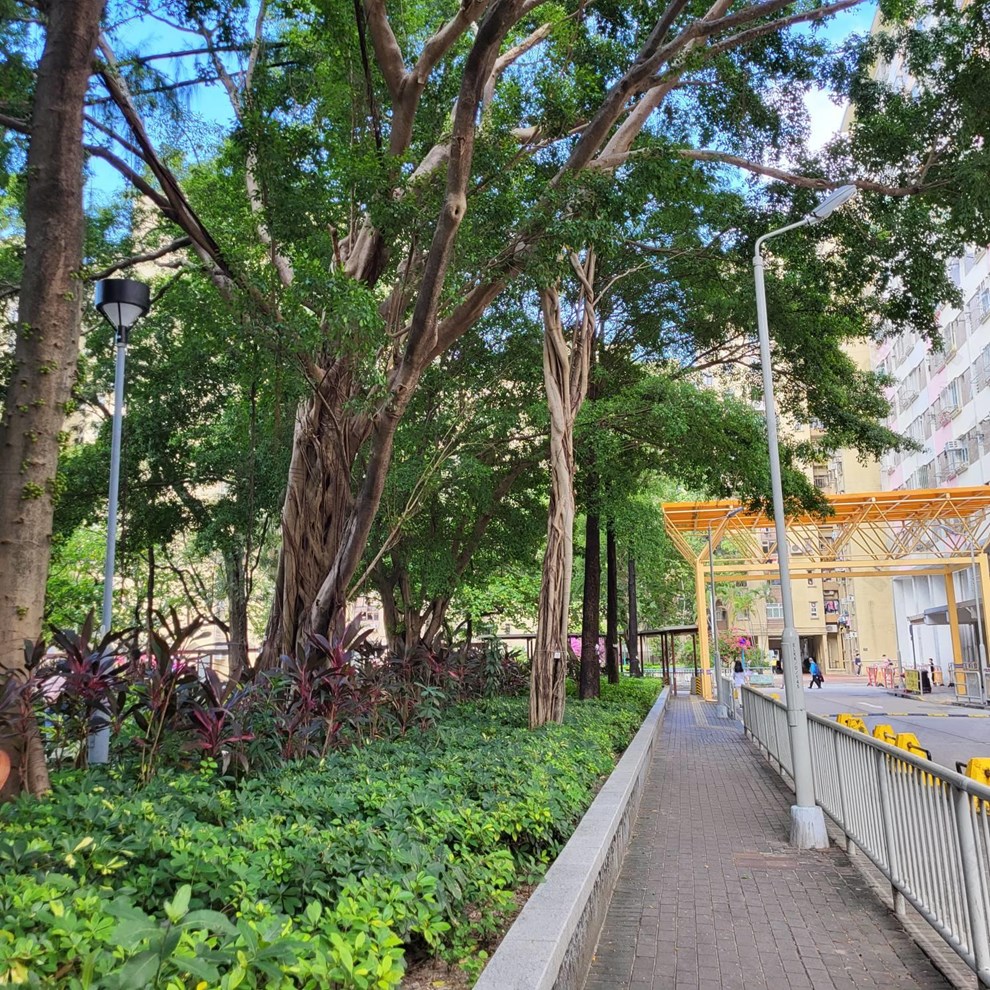 附近環境-公園