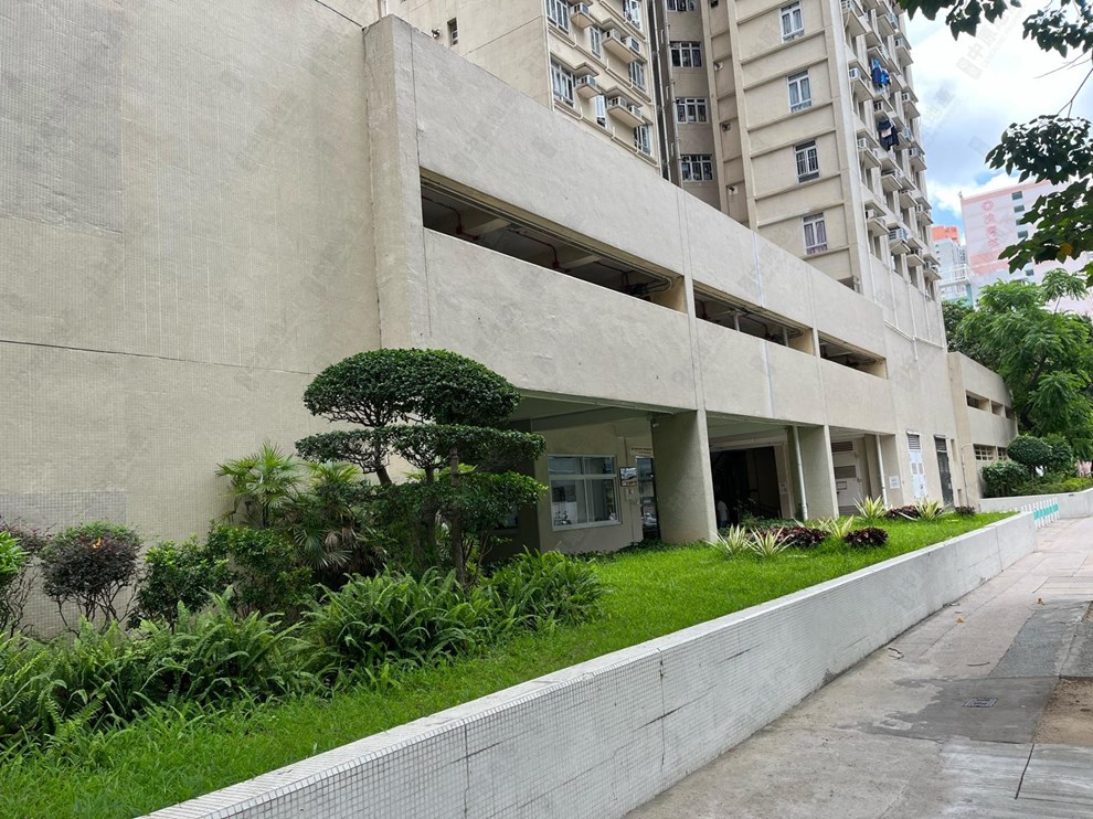 Nearby Environment-Nearby View