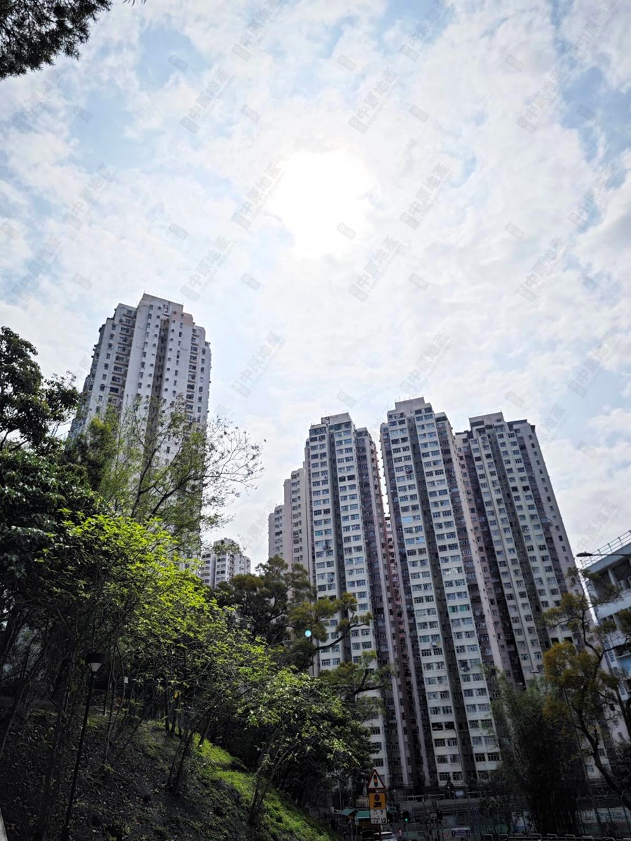 荃湾中心 南京楼 (9座), 相片