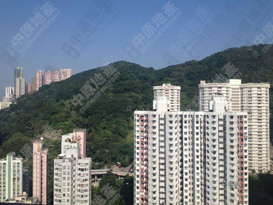 窗外景观-由露台