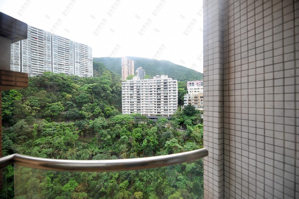 窗外景观-由客厅