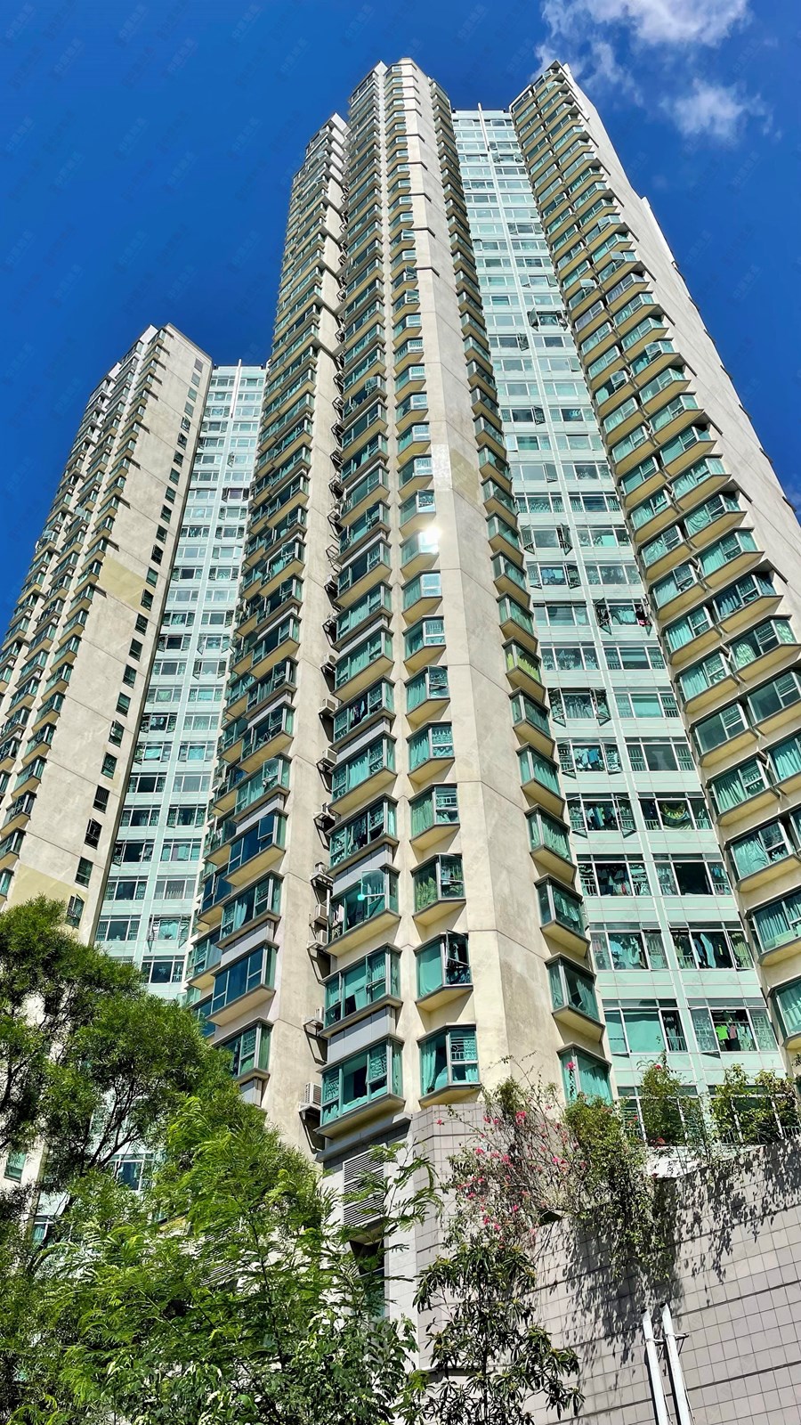 迎涛湾 1座 (A座), 相片
