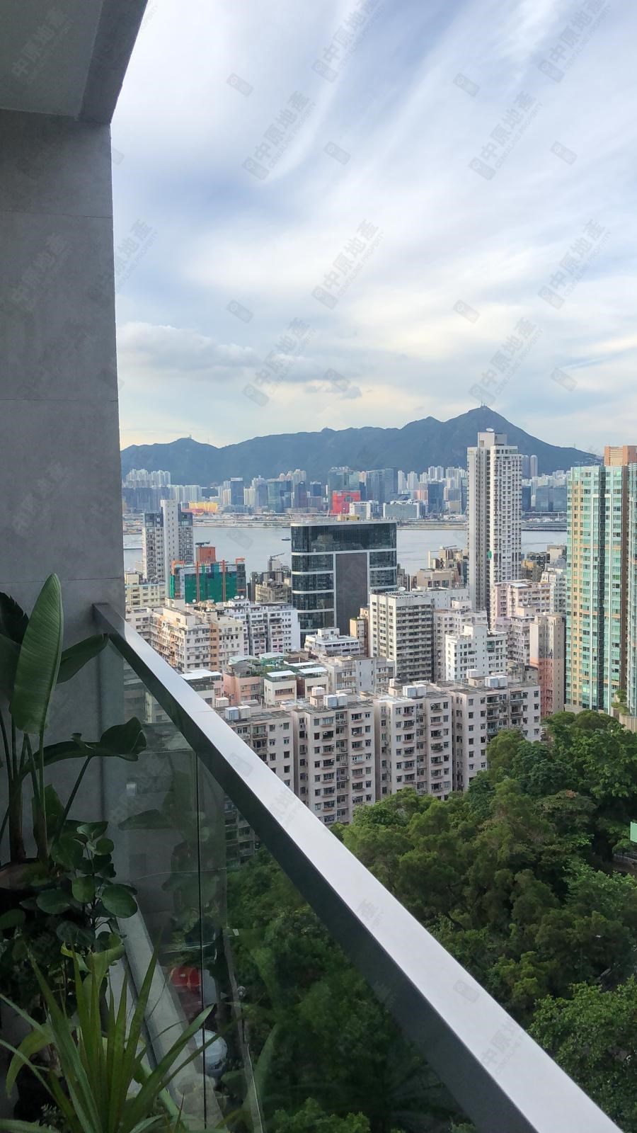 窗外景觀-由客廳