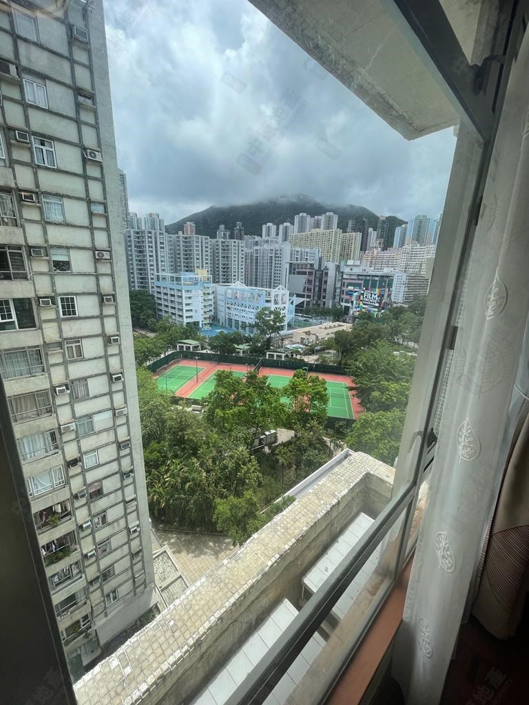 窗外景观-由客厅